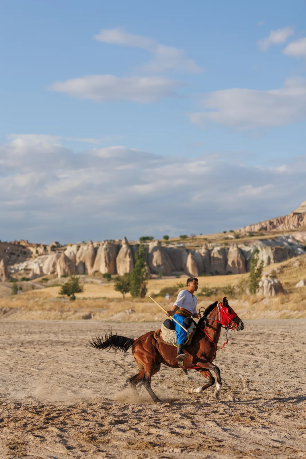 UNESCO mirası, Türklerin en eski atlı takım sporu