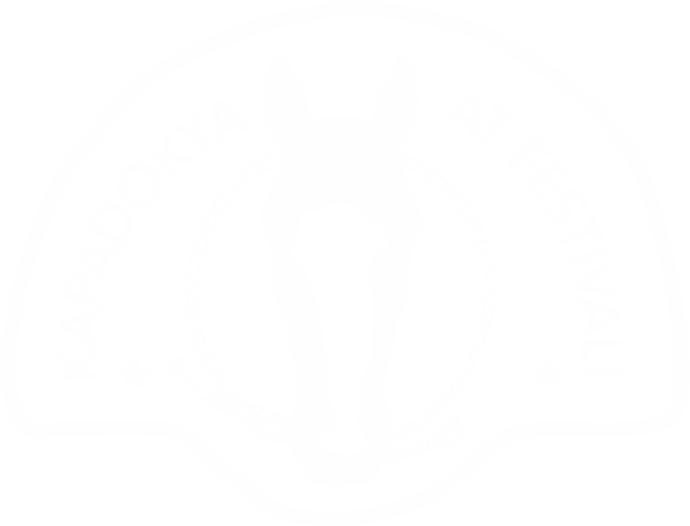 Kapadokya At Festivali
